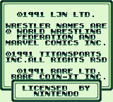 WWF Superstars screenshot 3 for GameBoy